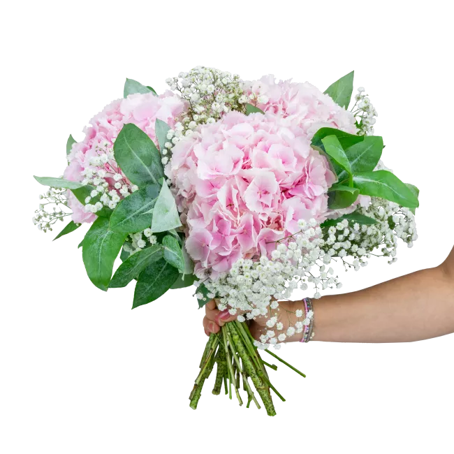 bouquet of hydrangeas
